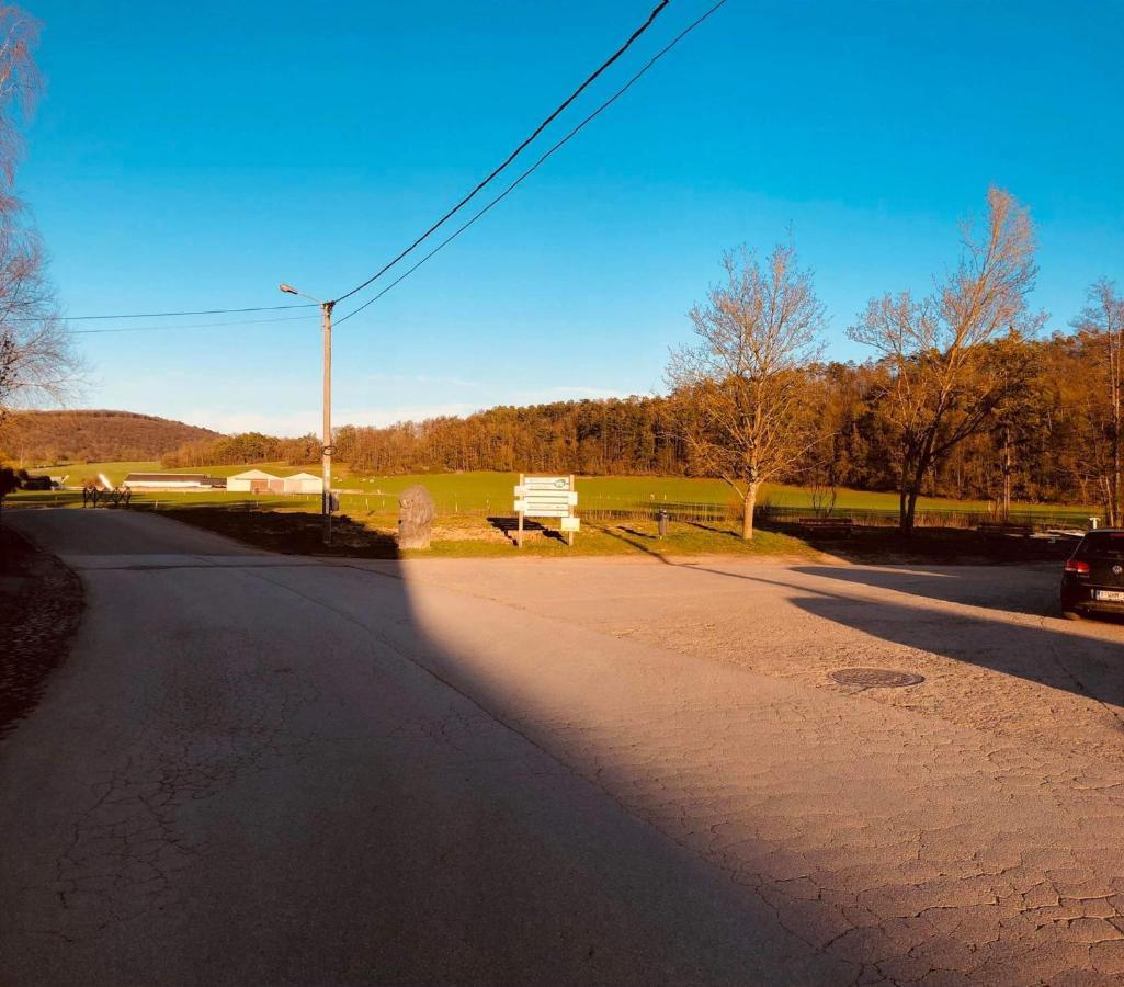 Gite D'Han Le Coin Han-sur-Lesse Esterno foto